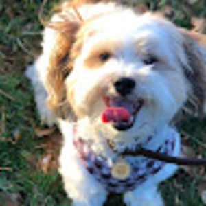 Meet your Posher, Eileen